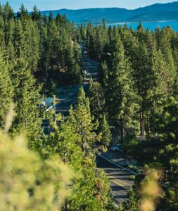 Read more about the article Colossians 1: 1-14 Walking Worthy of the Lord